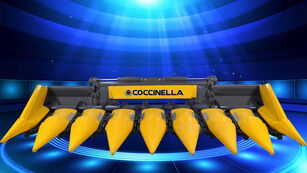 nova Coccinella žetelica za kukuruz